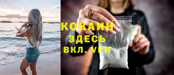 стаф Вяземский