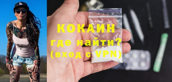стаф Вяземский