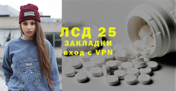 стаф Вяземский