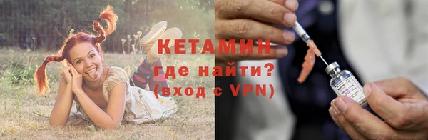стаф Вяземский
