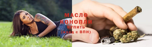 стаф Вяземский