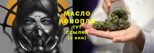 стаф Вяземский