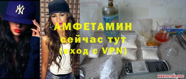 стаф Вяземский