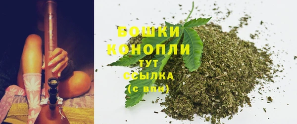 стаф Вяземский