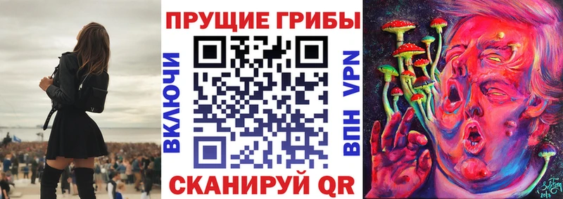 Псилоцибиновые грибы Psilocybine cubensis  Борисоглебск 