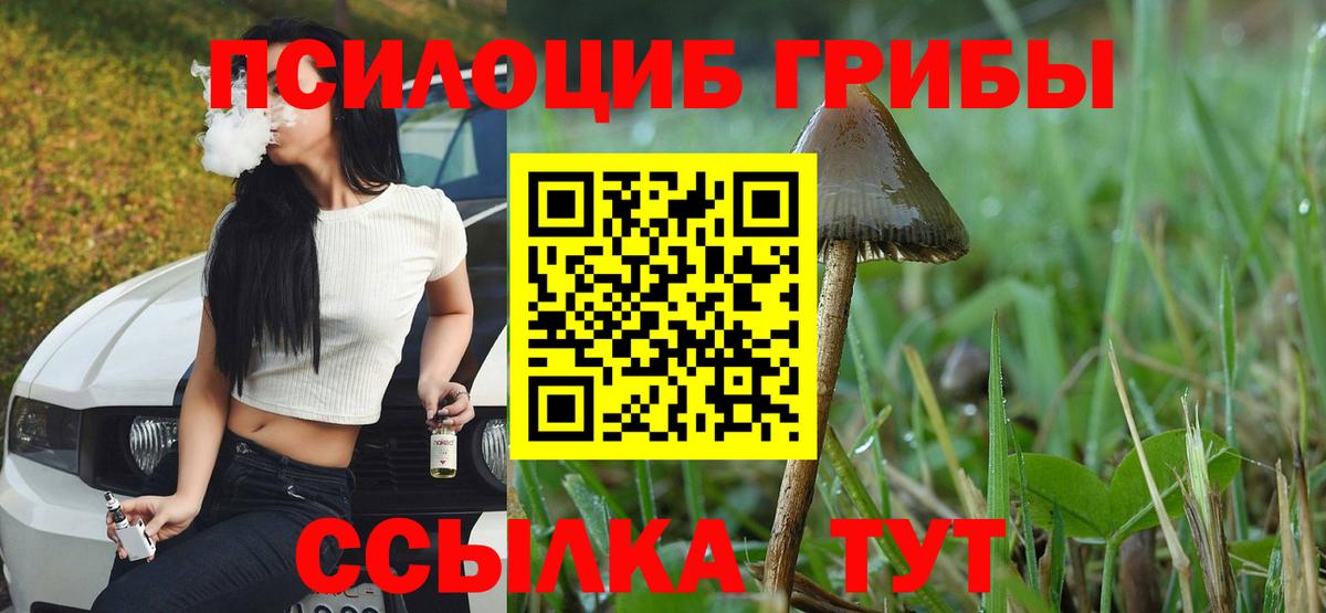 Псилоцибиновые грибы ЛСД  Вход с VPN  Псилоцибиновые грибы Psilocybe  Борисоглебск 